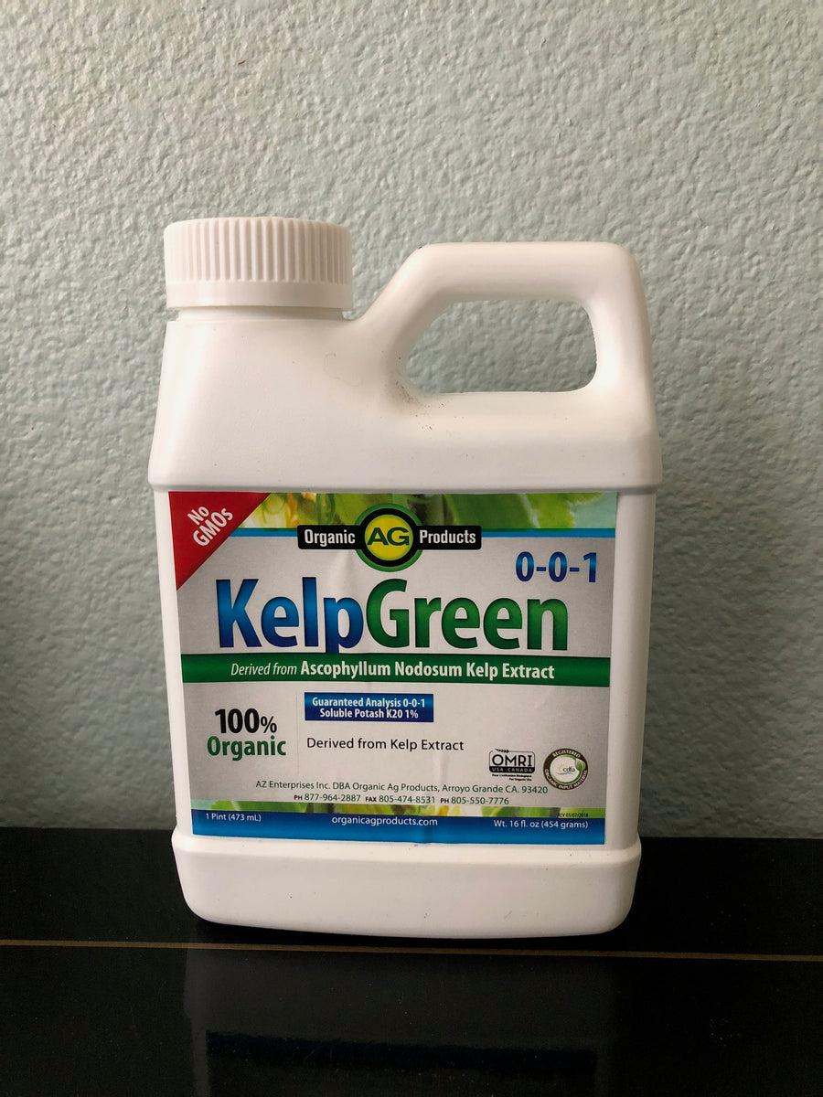 organic fish and kelp liquid fertilizer Kelp – ORGANIC FIRST