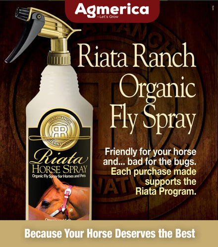 Insecticide Repellent Spray